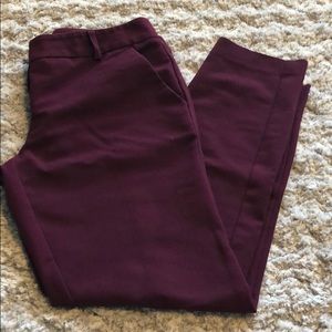 Express columnist pants